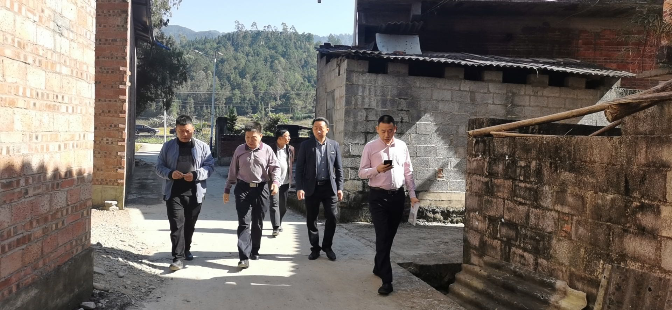 广西河池市环江县东兴镇为才村帮扶工作情况