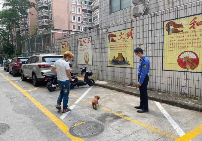图片1.png