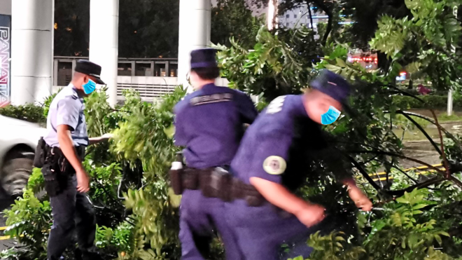 我为群众办实事 | 点赞！民警及时清理倒塌树木 迅速恢复道路交通