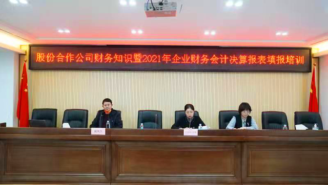 区集体经济署开展股份合作公司财务知识暨2021年企业财务会计决算报表填报培训.png