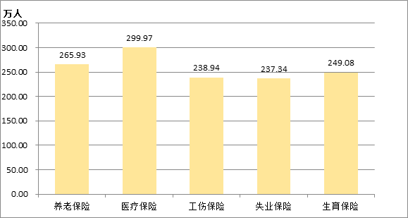 图12  2017年全区参加各类保险人数.png