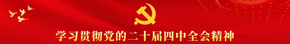 学习贯彻党的二十届四中全会精神