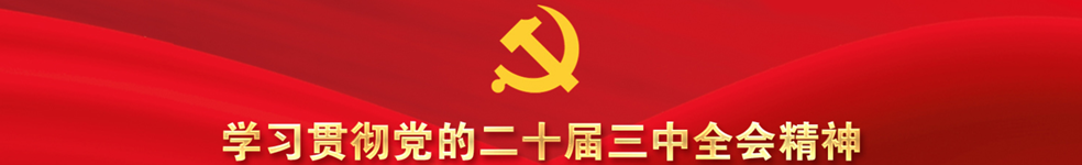 学习贯彻党的二十届三中全会精神