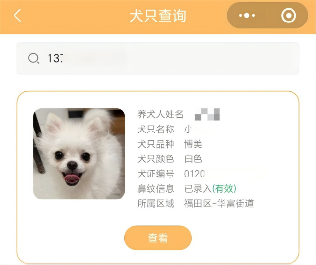 图片12.png
