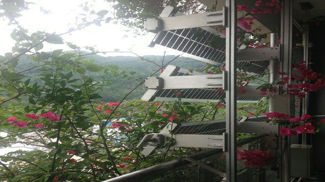 福田区环保水务局举办纪念2013年六·五世界环境日主题宣传活动 福田区环保水务局举办纪念2013年六·五世界环境日主题宣传活动