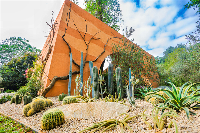 莲花山下簕杜鹃花海绽放福田花园打造四大原生态主题景观