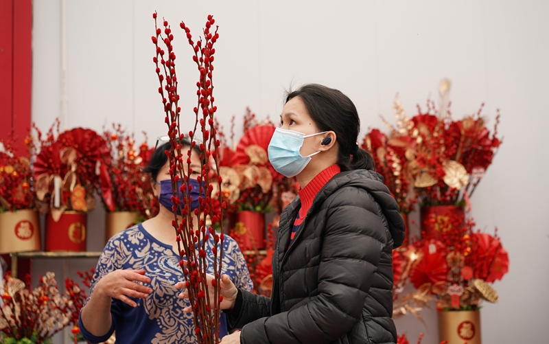 1月23日，市民在香蜜湖四季花谷的迎春购花点选购花卉.jpg