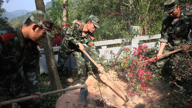 福田开展植树节活动 福田开展植树节活动