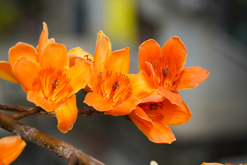 DSC08580.jpg