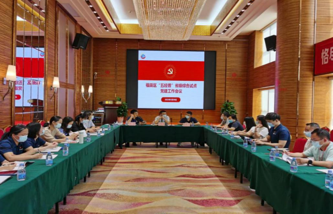 福田区统计局召开“五经普”省级综合试点党建工作会议1.jpg