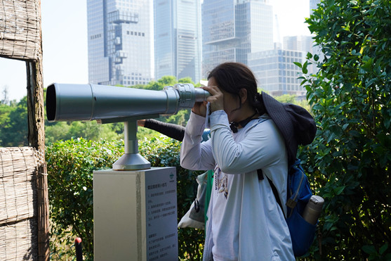 A delegate uses a telescope to observe the birds during a visit to OCT Wetland Park in Nanshan District on Friday,_副本.jpg
