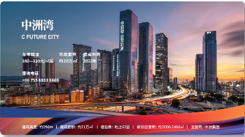 C Future City