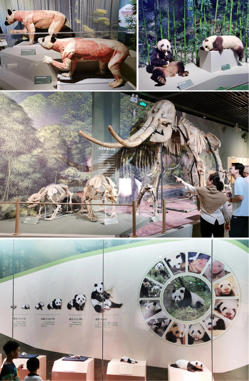 图片1_副本qw.png