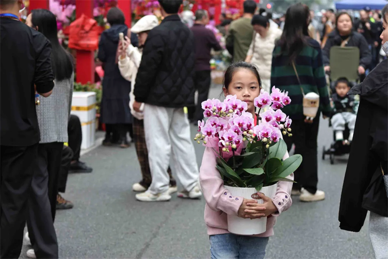 图片15.png