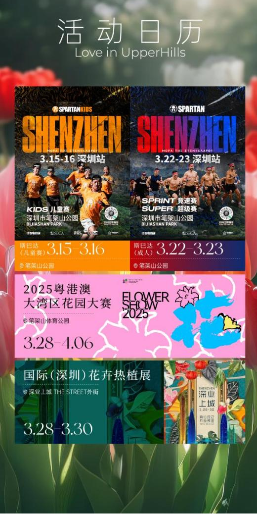 图片15.png