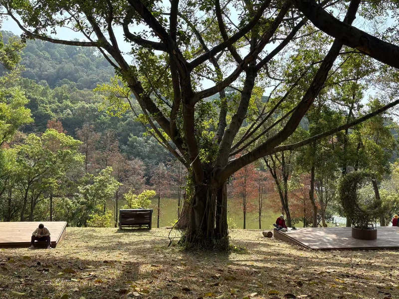 莲花山公园.jpg