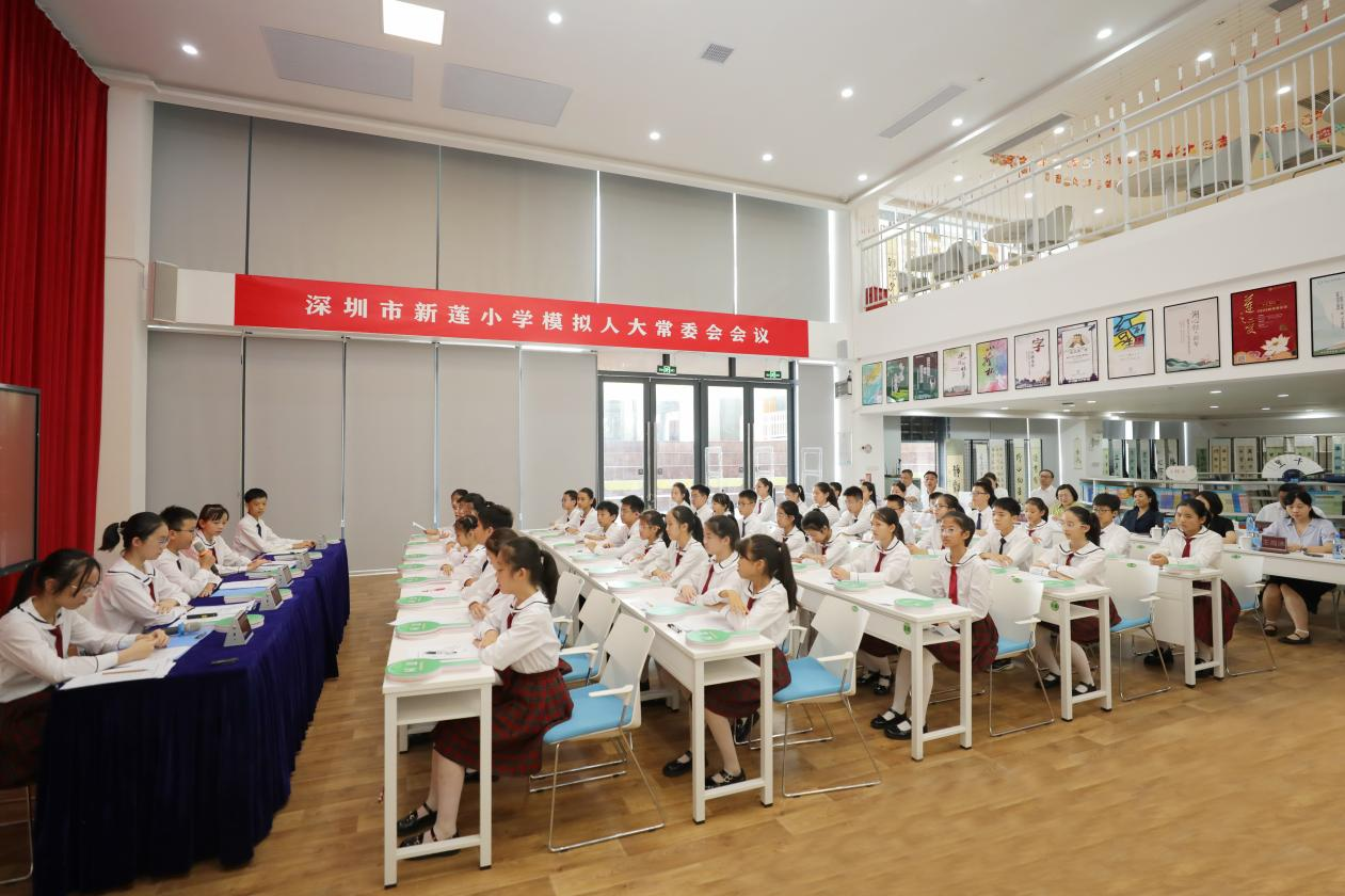 模拟人大近看民主1.png