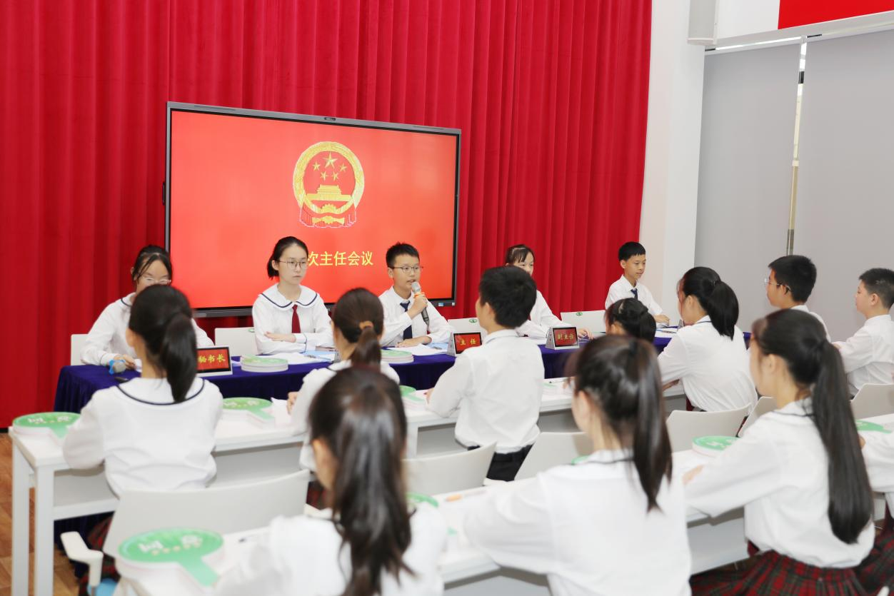 模拟人大近看民主2.png