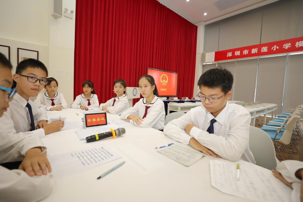 模拟人大近看民主3.png