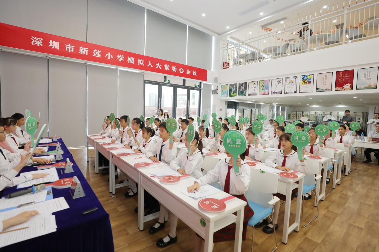 模拟人大近看民主4.png