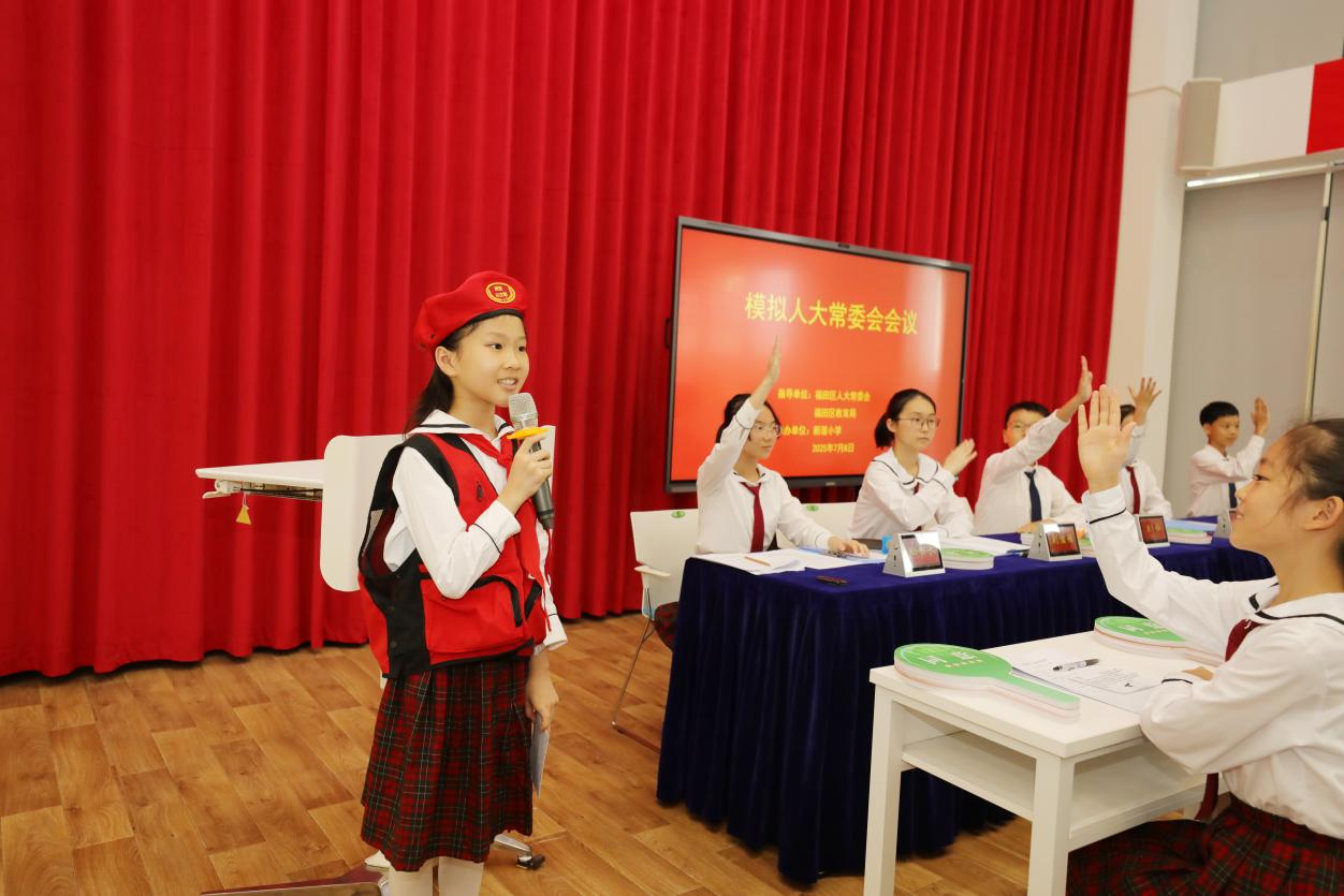 模拟人大近看民主5.png