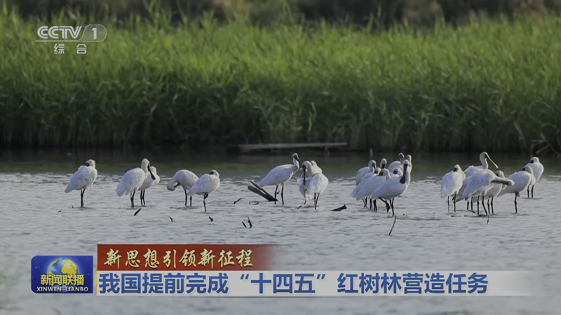 微信图片_20250729105536_副本.png