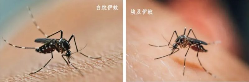 微信图片_20250729140800_副本.png