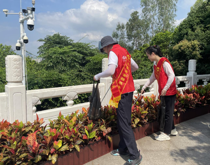 已编辑图片