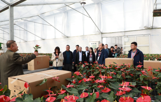 福田赋能・三县共兴粤桂协作探实效——福田...