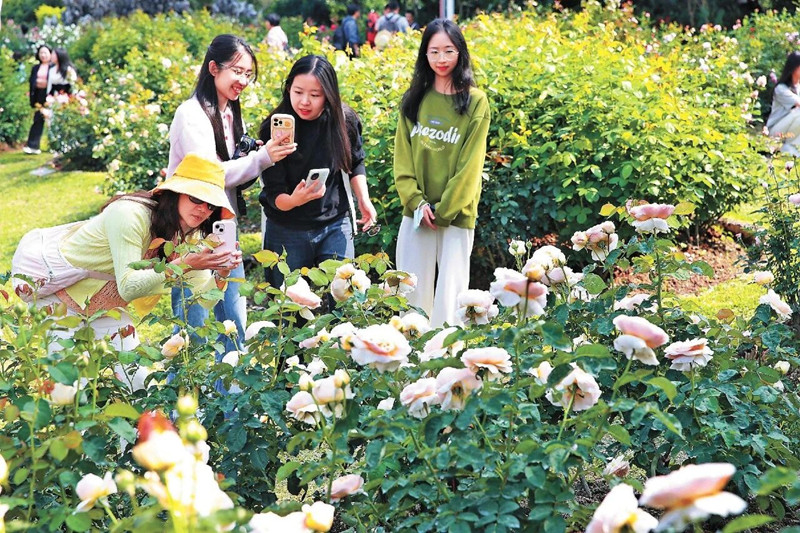 微信图片_2026-04-08_153226_454_副本.jpg