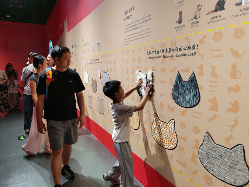 微信图片_2026-06-02_144404_596_副本.jpg