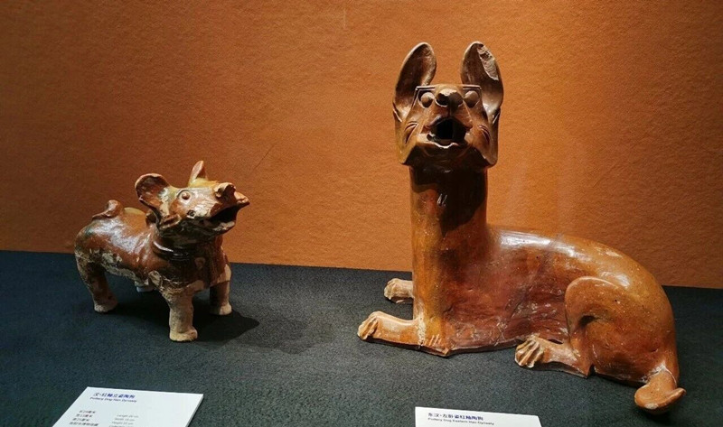 微信图片_2026-06-02_144415_419_副本.jpg