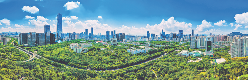 d54f0feb-1a67-4883-8e61-3068b943b548_副本.png