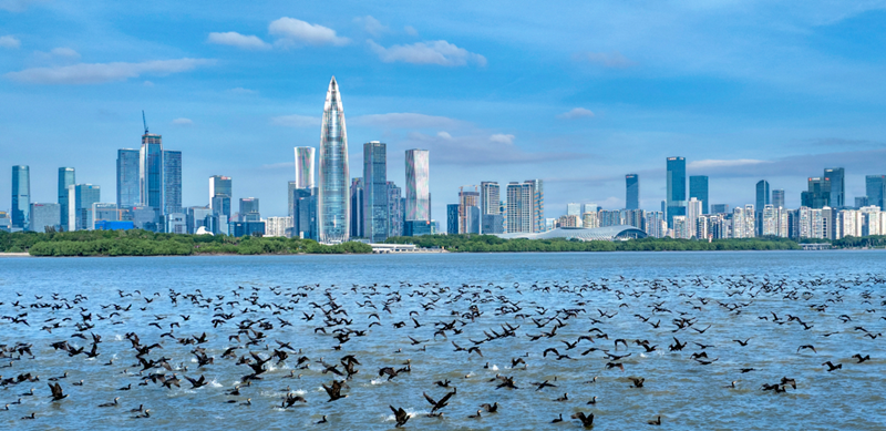 微信图片_2026-07-03_092652_671_副本.png