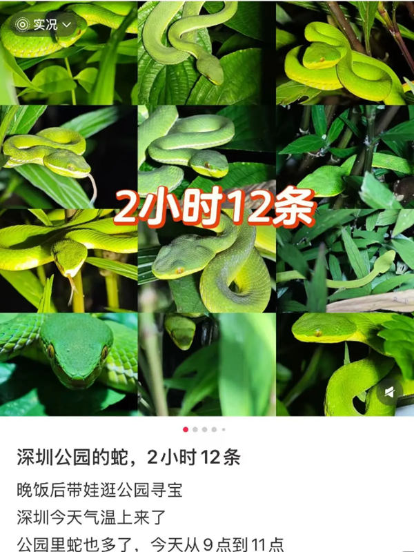 e984aeb3-eb96-43bf-be1b-6be5415826f7_副本.png