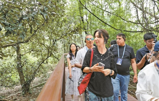 福田红树林国家级自然保护区 候鸟“五星级...